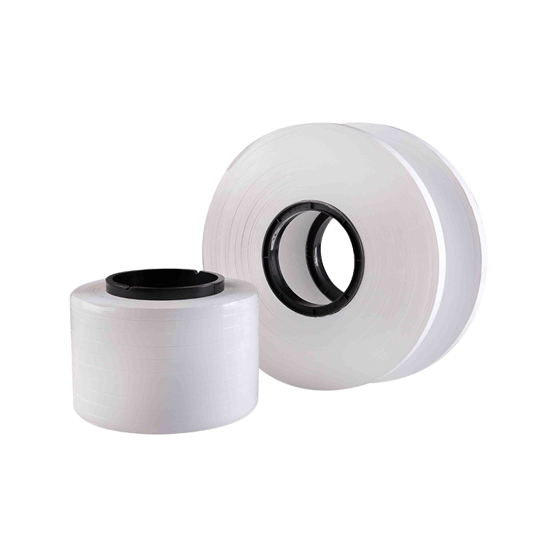Pellicola in PTFE